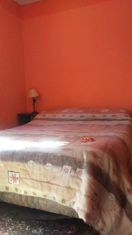 Hostel Internacional Мендоса Екстер'єр фото
